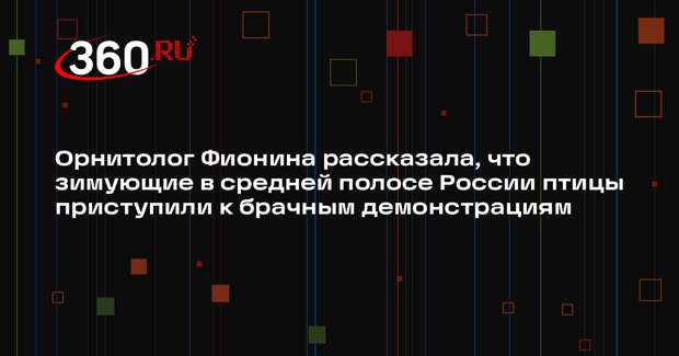 Орнитолог Фионина рассказала, что зимующие в средней полосе России птицы приступили к брачным демонстрациям