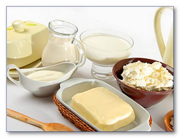 молочные белковые продукты