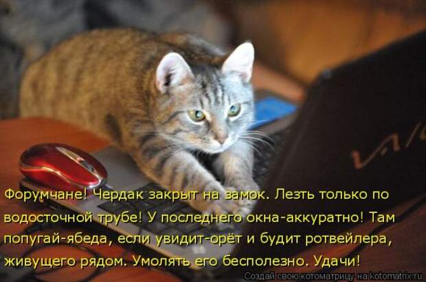 1464560166_29
