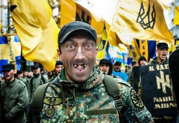Украина меняется: скулящих нацистов силой выбивают с улиц и они начинают подлую войну | Русская весна