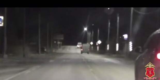 В Ленобласти полицейские с применением оружия задержали нетрезвого водителя