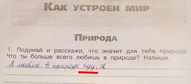 Все мы любим пикники