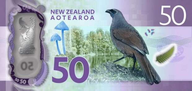 Entoloma hochstetteri на новозеландской пятидесятидолларовой купюре.