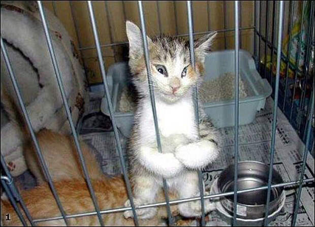 Немного позитива :) (22фото)