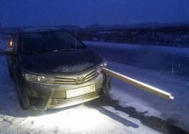 Прикольные картинки Прикольные картинки
