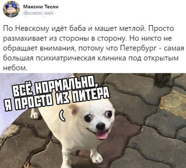 Прикольные и смешные картинки