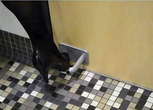 Отличное решение для тех, кто боится микробов. /Фото: img01-uz.olx.uz Отличное решение для тех, кто боится микробов. /Фото: img01-uz.olx.uz