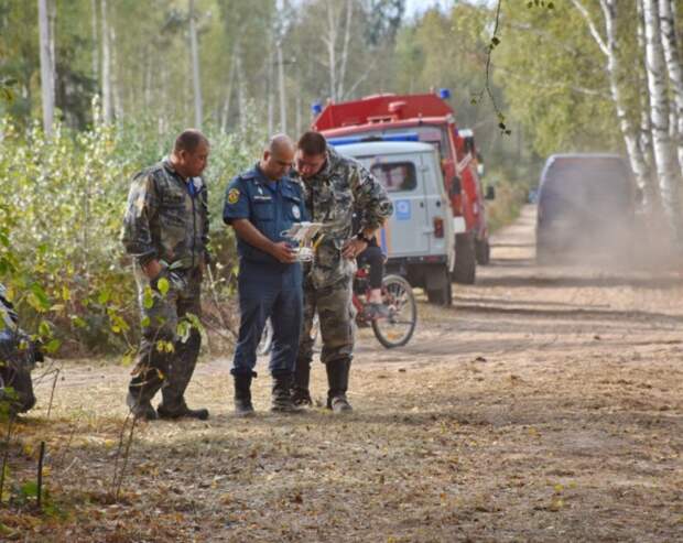 В Камешковском районе сократилась площадь природного пожара