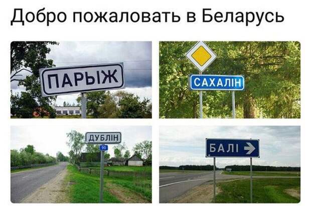 Подборка картинок. Вечерний выпуск (51 фото)