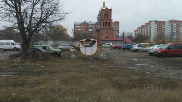 Фото с родных просторов