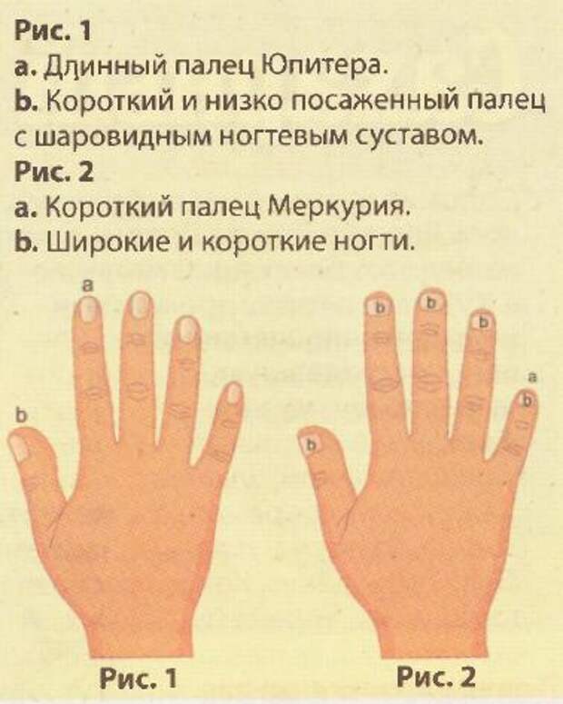 Короткие пальцы у мужчины