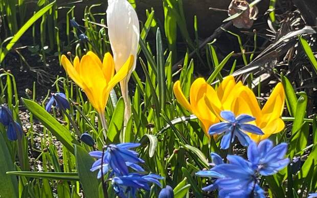 Теплая погодная аномалия задержится в Рязанской области