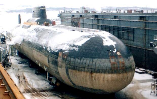 акула