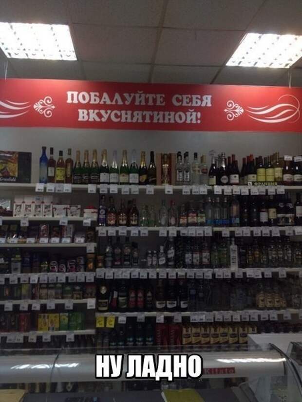 Смешные картинки с надписями прикол, юмор