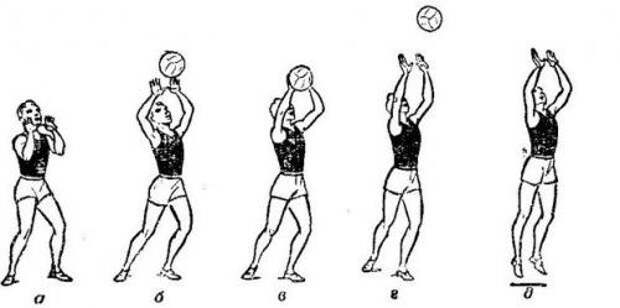 Виды передачи мяча в волейболе. Передача мяча в волейболе