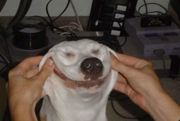 Позитивный микс (47фото)