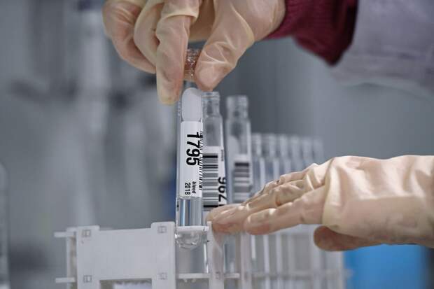 Олимпийский чемпион Васильев обвинил скандинавских лыжников обвинили в допинге