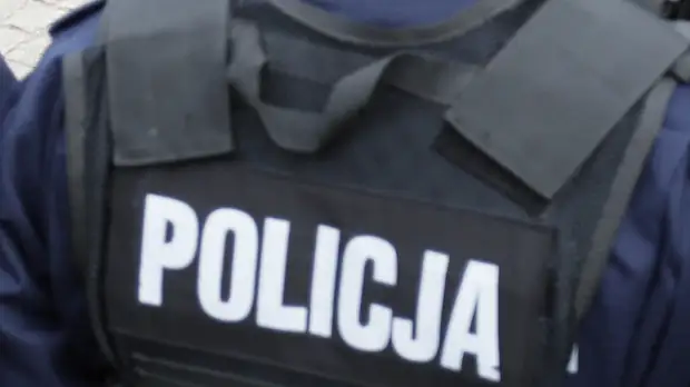 Вандалы обезглавили в Польше скульптуру Рокоссовского