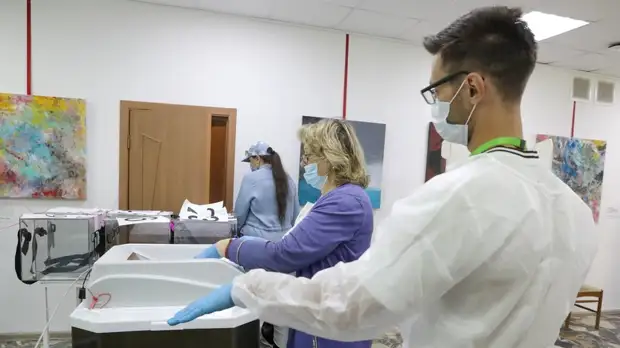 Политолог прокомментировал организацию голосования по поправкам к Конституции