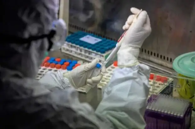 Нуланд подтвердила наличие биологических лабораторий США на Украине