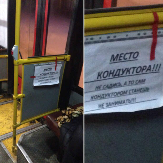 Метаморфозы. Метаморфозы.