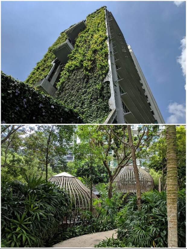 Живые растения занимают площадь около 3 тыс. кв.м. («Tree House», Сингапур). | Фото: uno-propiedades.com.ar/ stackedhomes.com.
