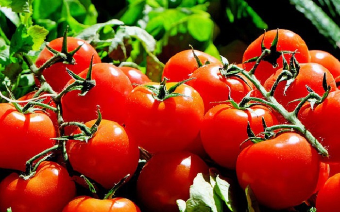 Картофель, яблоки, помидоры и другие продукты, которым не место в холодильнике