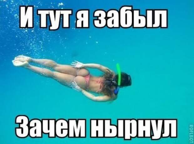Забавные фотомемы (24 шт)