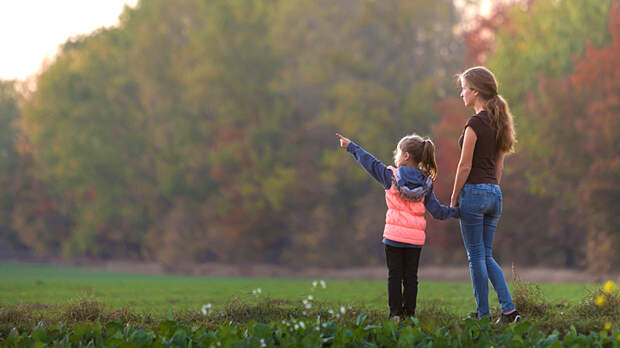 Только мы с дитём по полю идём: Многодетной семье дали землю в глуши и гонят из квартиры