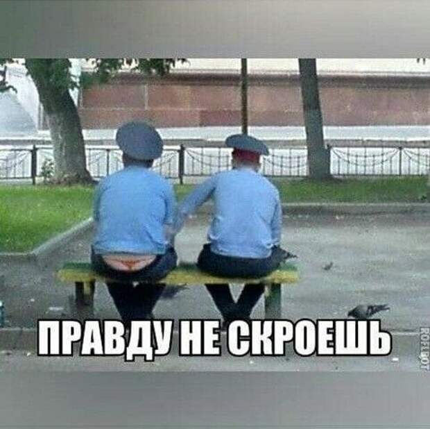 ПРИКОЛЬНЫЕ КАРТИНКИ # 51