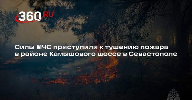 Силы МЧС приступили к тушению пожара в районе Камышового шоссе в Севастополе