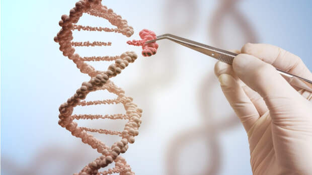 Обратить старение вспять: что наука знает сегодня и как это использовать уже сейчас