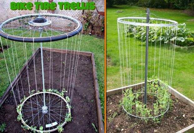 24-Highly-Creative-and-Clever-Gardening-Tricks-to-Enhance-Garden-homesthetics-decor-11