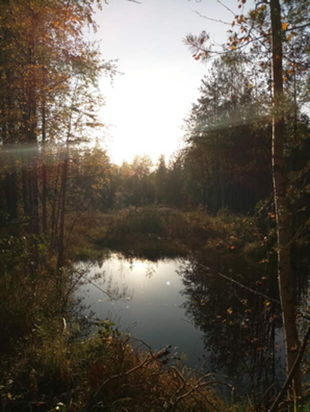 Фото на камеру Meizu MX6