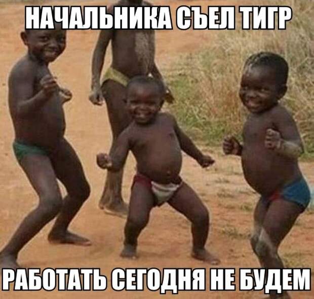 Картинки по запросу приколы