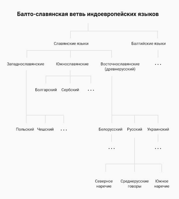 Славянские языки схема