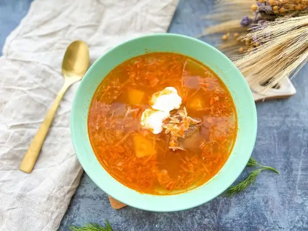 Готовим кислые щи: классические щи с квашенной капустой