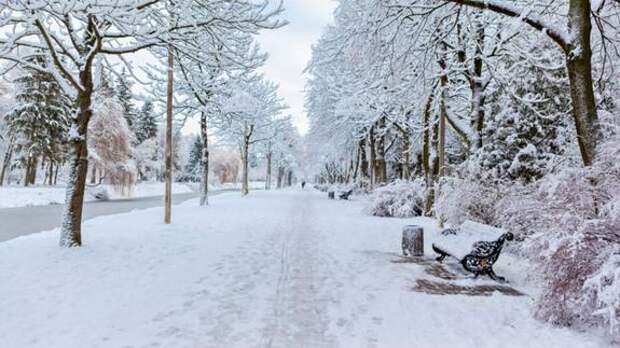 1 апреля в Петербурге ожидается мокрый сильный снег