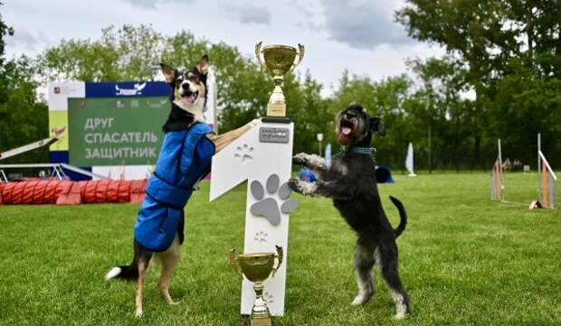 Сергунина: Площадки проекта «Питомцы в Москве» за год открыли в 23 районах столицы