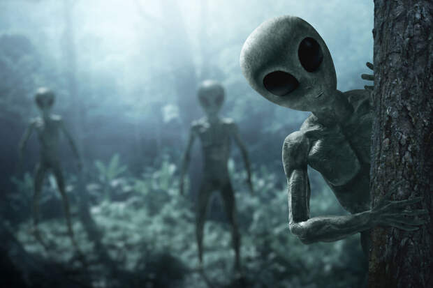 Космолог Адерин-Покок: люди встретятся с пришельцами к 2075 году