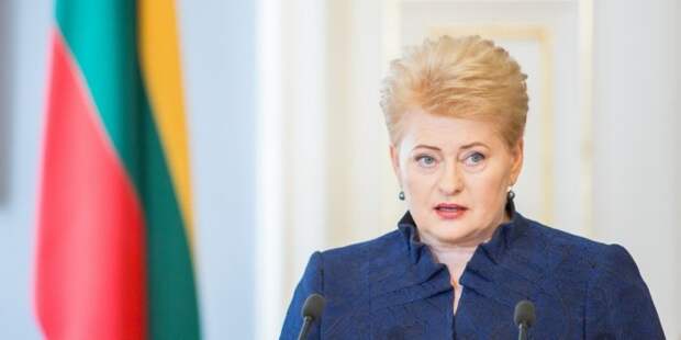 Президент Литвы заподозрила Россию и Белоруссию в подготовке войны с Западом