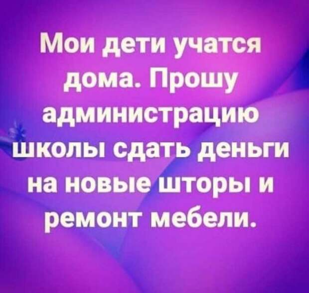"Заберите его в школу, а то я повешусь или сопьюсь": о дистанционном российском образовании