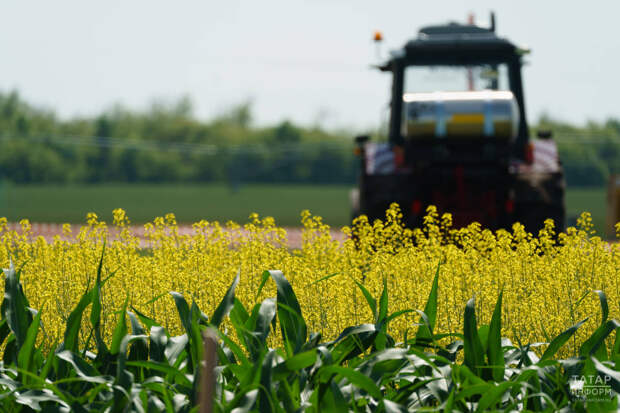 В Татарстане на модернизацию информационной системы АПК направят 27 млн рублей