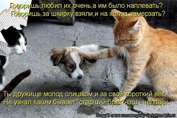Мысли вслух :)