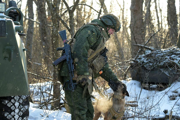 Финский политик Мема призвал признать Донбасс и Новороссию частью РФ