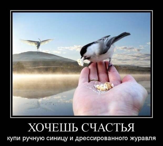 Подборка веселых демотиваторов про животных (12 фото) Подборка веселых демотиваторов про животных (12 фото)