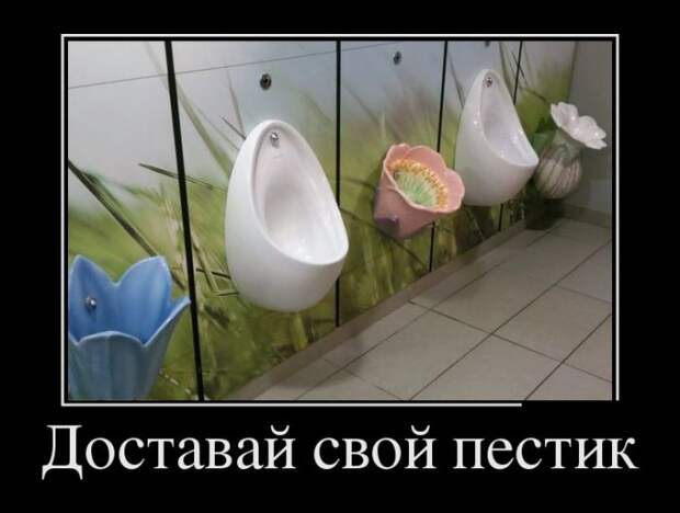Свежие демотиваторы для поднятия настроения (12 фото) Свежие демотиваторы для поднятия настроения (12 фото)
