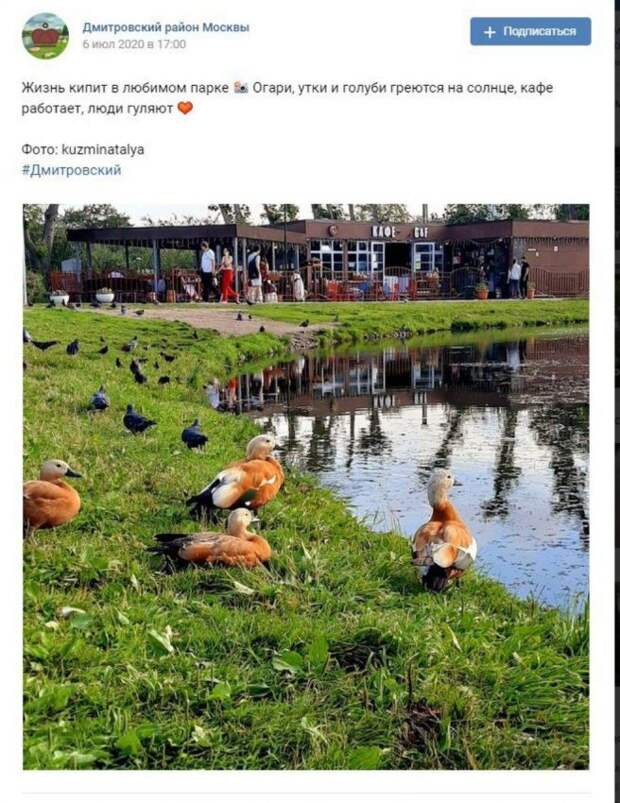 Фото дня: «жизнь кипит» в парке Дмитровского района
