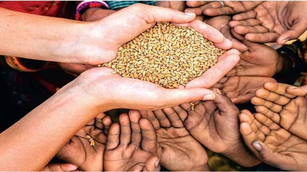ООН: БРИКС может возглавить борьбу с мировым голодом