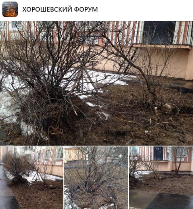 Кустарник на улице Полины Осипенко повредил канал водоснабжения